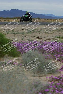 media/Jan-14-2023-SoCal Trackdays (Sat) [[497694156f]]/Turn 14 Exit Bloomig (145pm)/